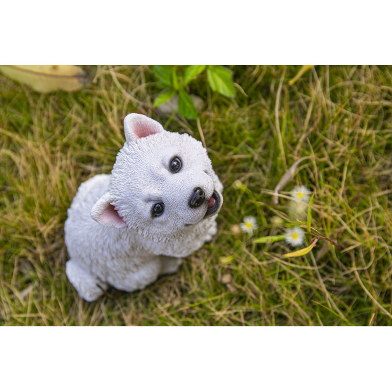 Orders american eskimo howling